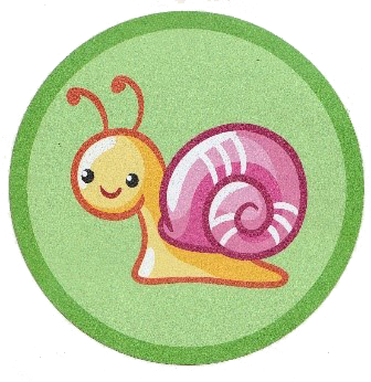 Csigabiga csoport